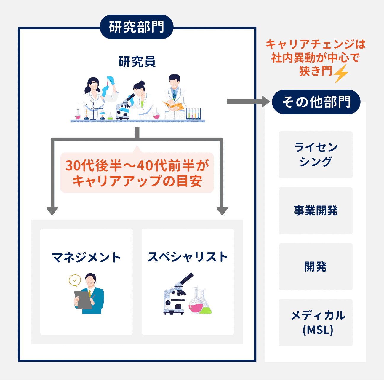 製薬研究職のキャリアパス｜研究部門の研究員として入社し、30代後半～40代前半を目安に、マネジメント職またはスペシャリスト職にキャリアアップする｜他の部門へのキャリアチェンジも可能だが、社内異動が中心で狭き門となっている｜キャリアチェンジ先の例：ライセシング、事業開発、開発、メディカル（MSL）