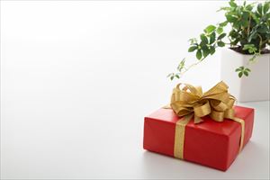 センスが光る女性向け退職祝い20選