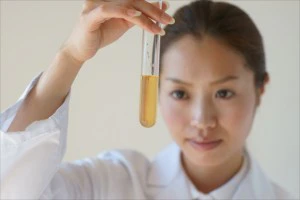 研究職