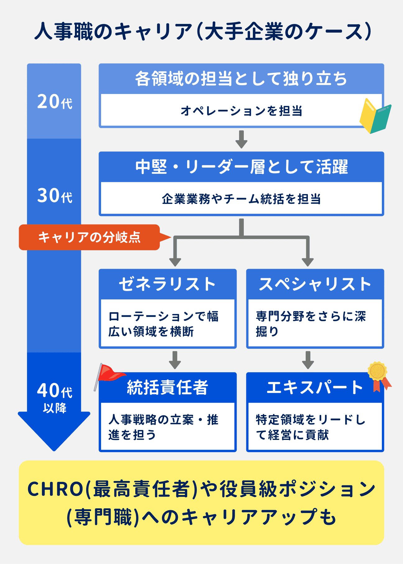 人事職のキャリア(大手企業のケース)|20代:各領域の担当として独り立ち|30代:中堅・リーダー層として活躍。キャリアの分岐点があり、「ゼネラリスト」と「スペシャリスト」に分かれる|40代以降:ゼネラリストの場合は統括責任者、スペシャリストの場合はエキスパートにキャリアアップしていく|CHRO(最高責任者)や役員級ポジション(専門職)へのキャリアアップの可能性もある