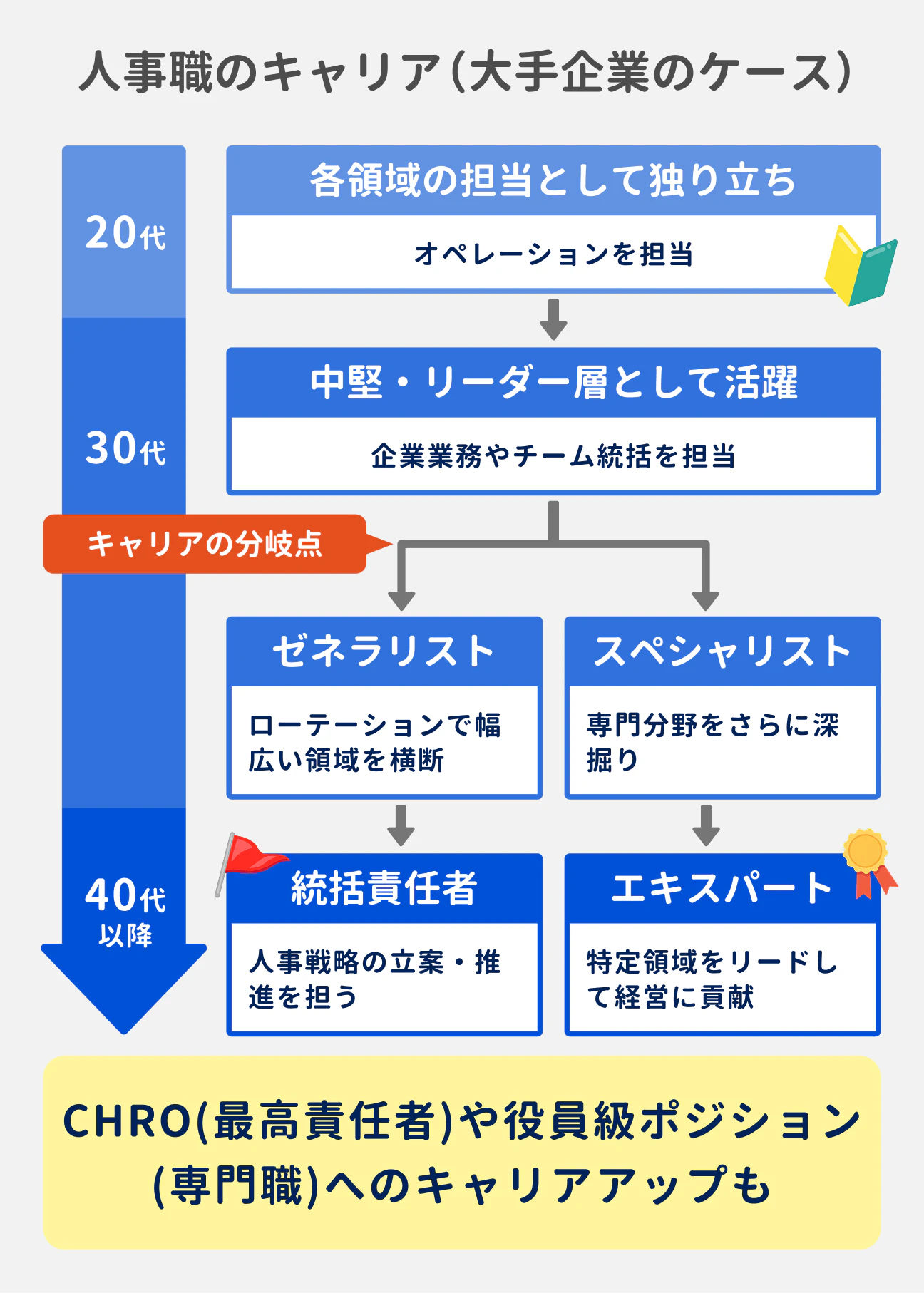 人事職のキャリア（大手企業のケース）｜20代：各領域の担当として独り立ち｜30代：中堅・リーダー層として活躍。キャリアの分岐点があり、「ゼネラリスト」と「スペシャリスト」に分かれる｜40代以降：ゼネラリストの場合は統括責任者、スペシャリストの場合はエキスパートにキャリアアップしていく｜CHRO（最高責任者）や役員級ポジション（専門職）へのキャリアアップの可能性もある