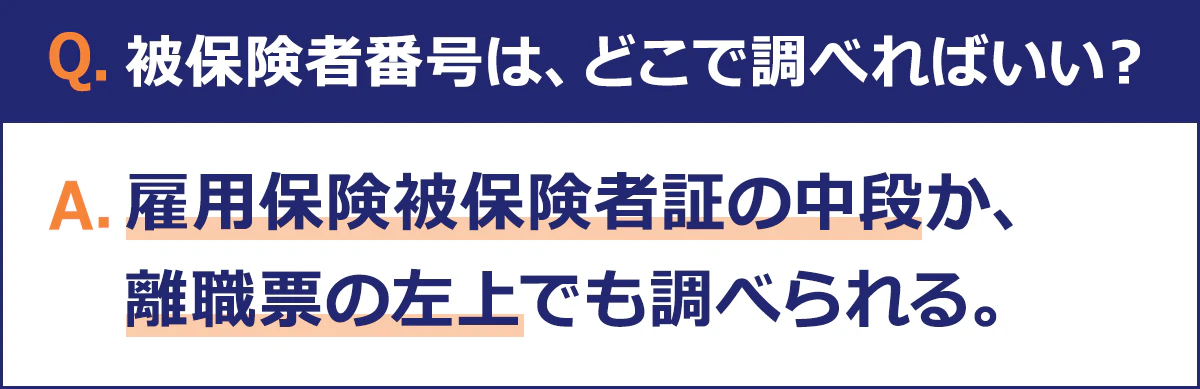 被保険者番号は、雇用保険被保険者証の中段か、離職票の左上で調べられます。