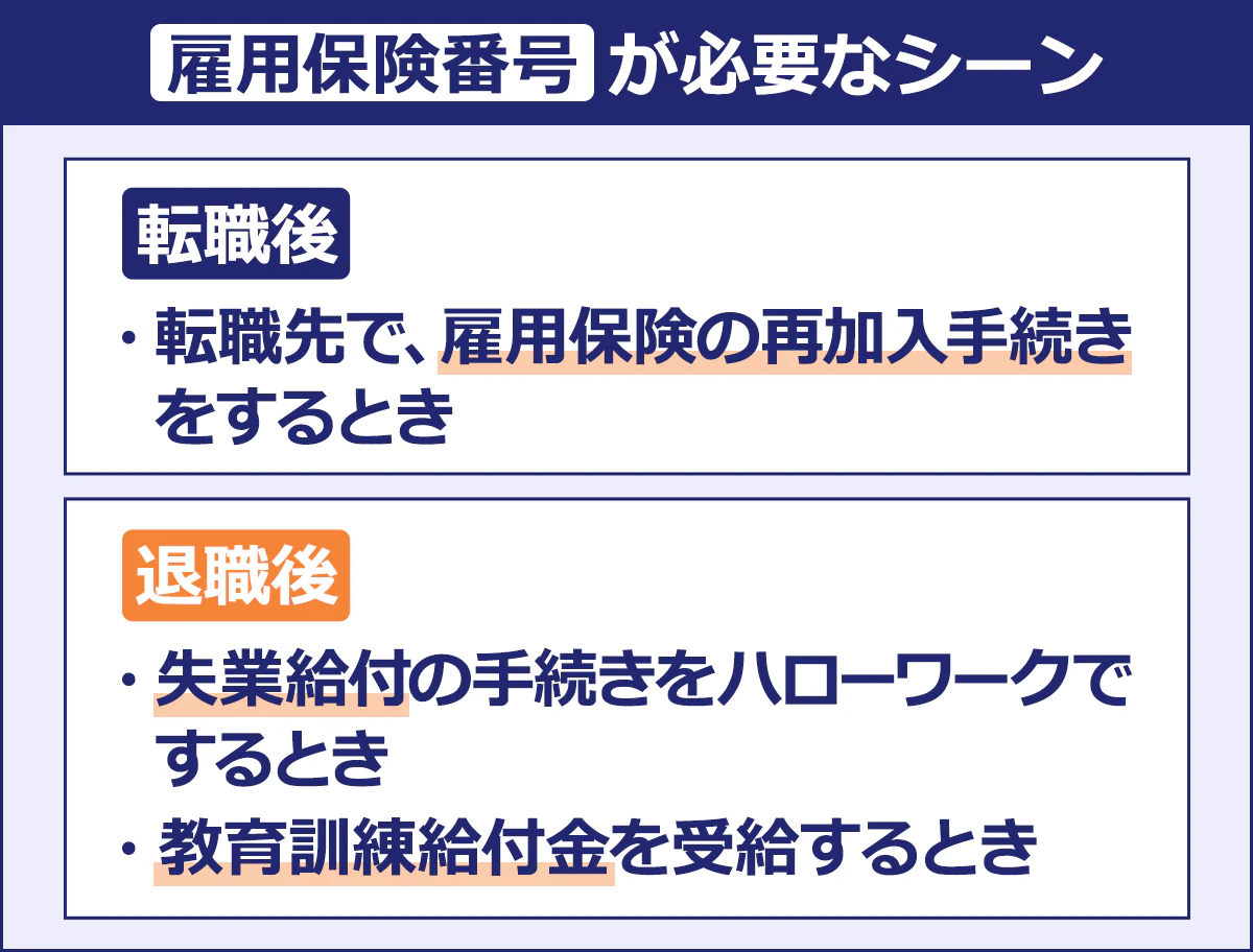 【雇用保険番号が必要なシーン（被保険者番号）】 ＜転職後……＞ ・転職先で、雇用保険の再加入手続きをするとき ＜退職後……＞ ・失業給付の手続きをハローワークでするとき ・教育訓練給付金を受給するとき