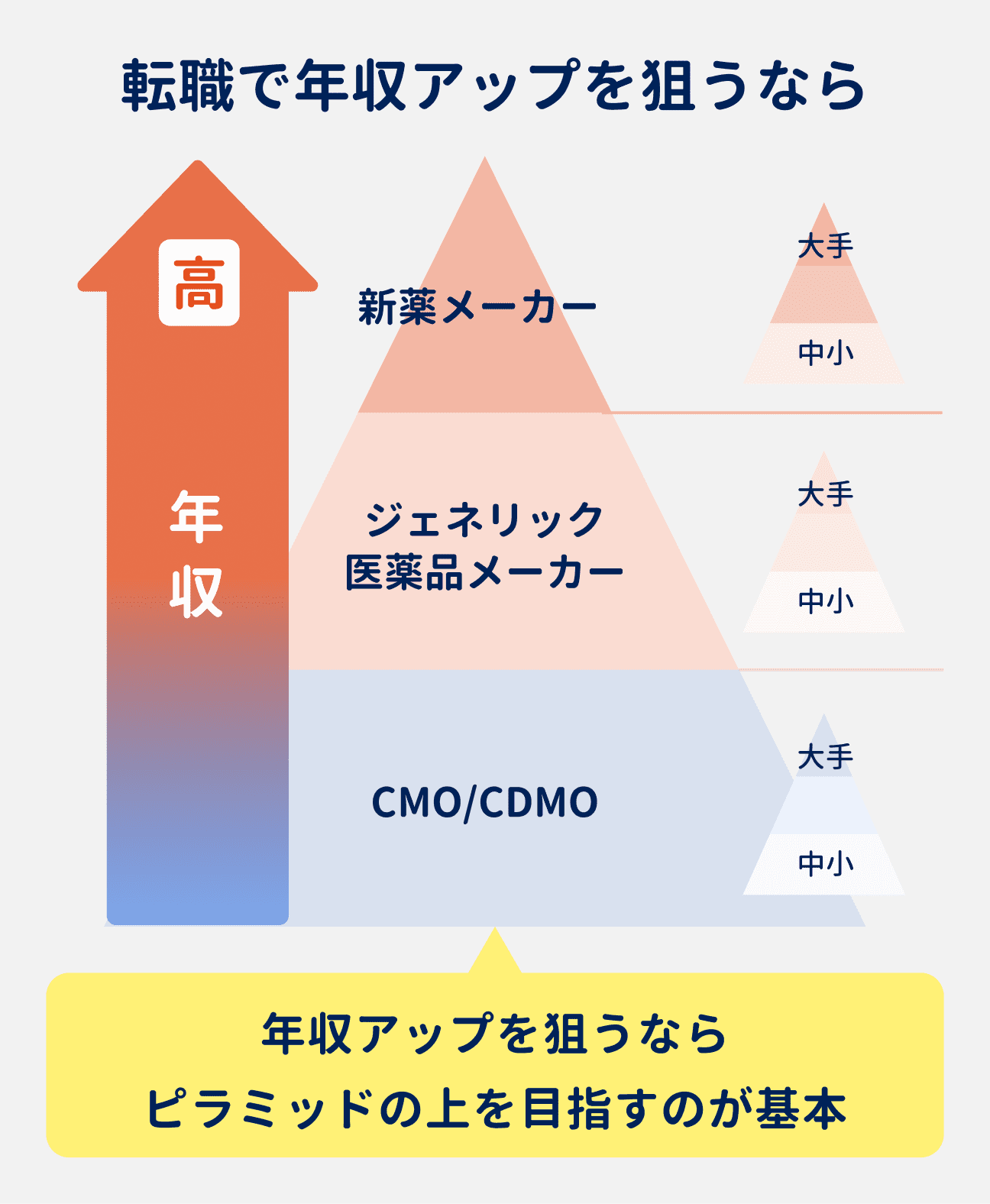 年収は企業によって異なり、CMO/CDMO→ジェネリック医薬品メーカー→新薬メーカーの順に高くなるピラミッド構造になっている。転職で年収アップを目指すなら、ピラミッドの上を目指すのが基本｜また、中小よりも大手企業の方が年収が高くなる傾向があるため、企業規模も意識することが重要