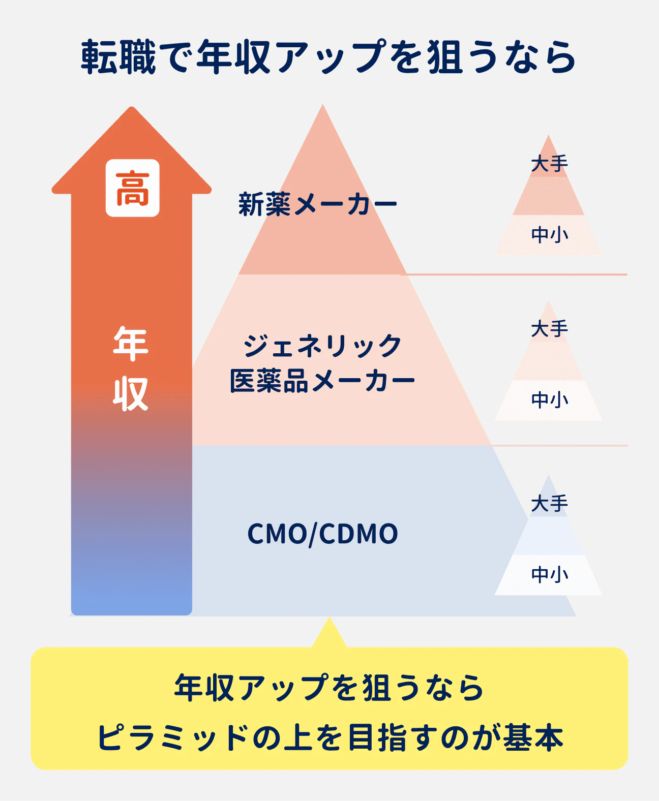 年収は企業によって異なり、CMO/CDMO→ジェネリック医薬品メーカー→新薬メーカーの順に高くなるピラミッド構造になっている。転職で年収アップを目指すなら、ピラミッドの上を目指すのが基本|また、中小よりも大手企業の方が年収が高くなる傾向があるため、企業規模も意識することが重要