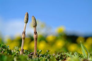 これで内定！転職の最終面接対策まとめ