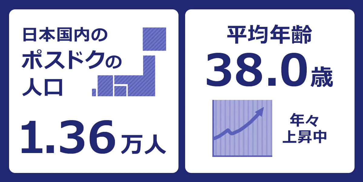 日本国内のポスドクの人口は1.36万人。 平均年齢は38.0歳と年々上昇中。