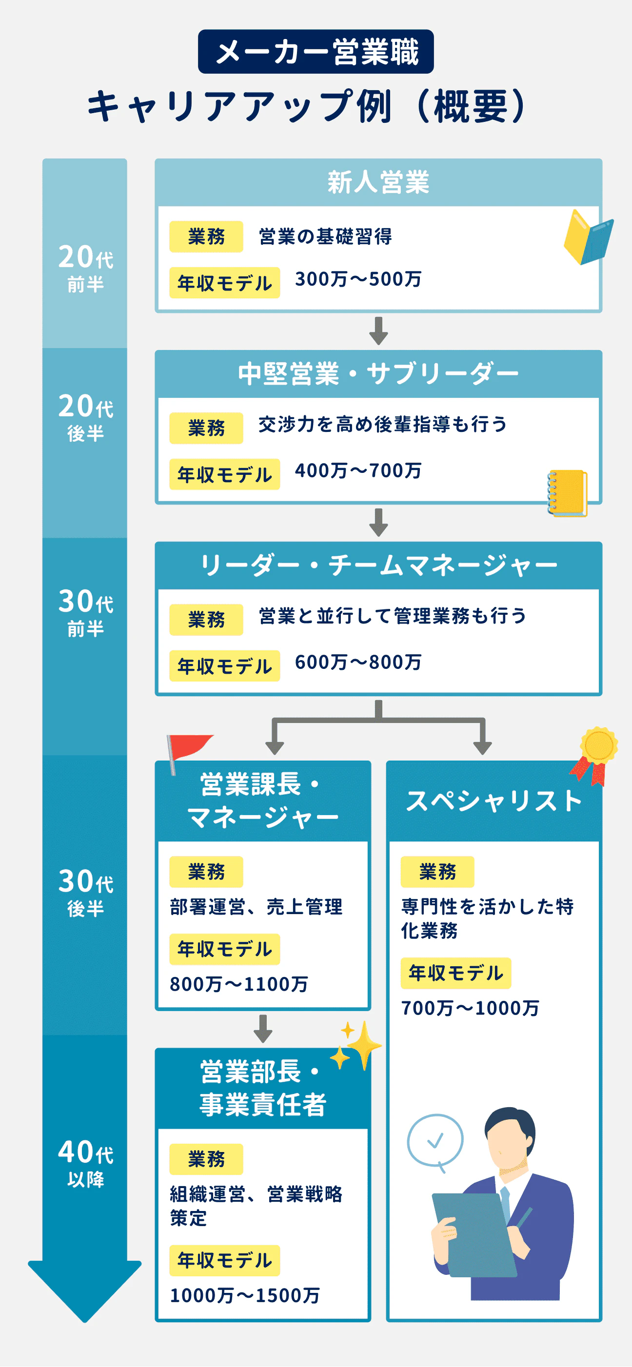 メーカー営業職のキャリアアップ例（概要）｜20代前半：新人営業として、営業の基礎を修得。モデル年収300万円～500万円｜20代後半：中堅営業・サブリーダーとして、交渉力を高め後輩指導も行う。モデル年収は400万円～700万円｜30代前半：リーダー・チームマネージャーとして、営業と並行して管理業務も行う。モデル年収は600万円～800万円｜30代後半：キャリアが2つに分岐（営業課長・マネージャー／スペシャリスト）｜営業課長・マネージャーの場合、部署運営や売上管理を担当。モデル年収は800万円～1100万円。40代以降に営業部長・事業責任者となり、組織運営や営業戦略策定を担当。モデル年収は1000万円～1500万円｜スペシャリストの場合、専門性を活かした特化業務を担当。モデル年収は700万円～1000万円