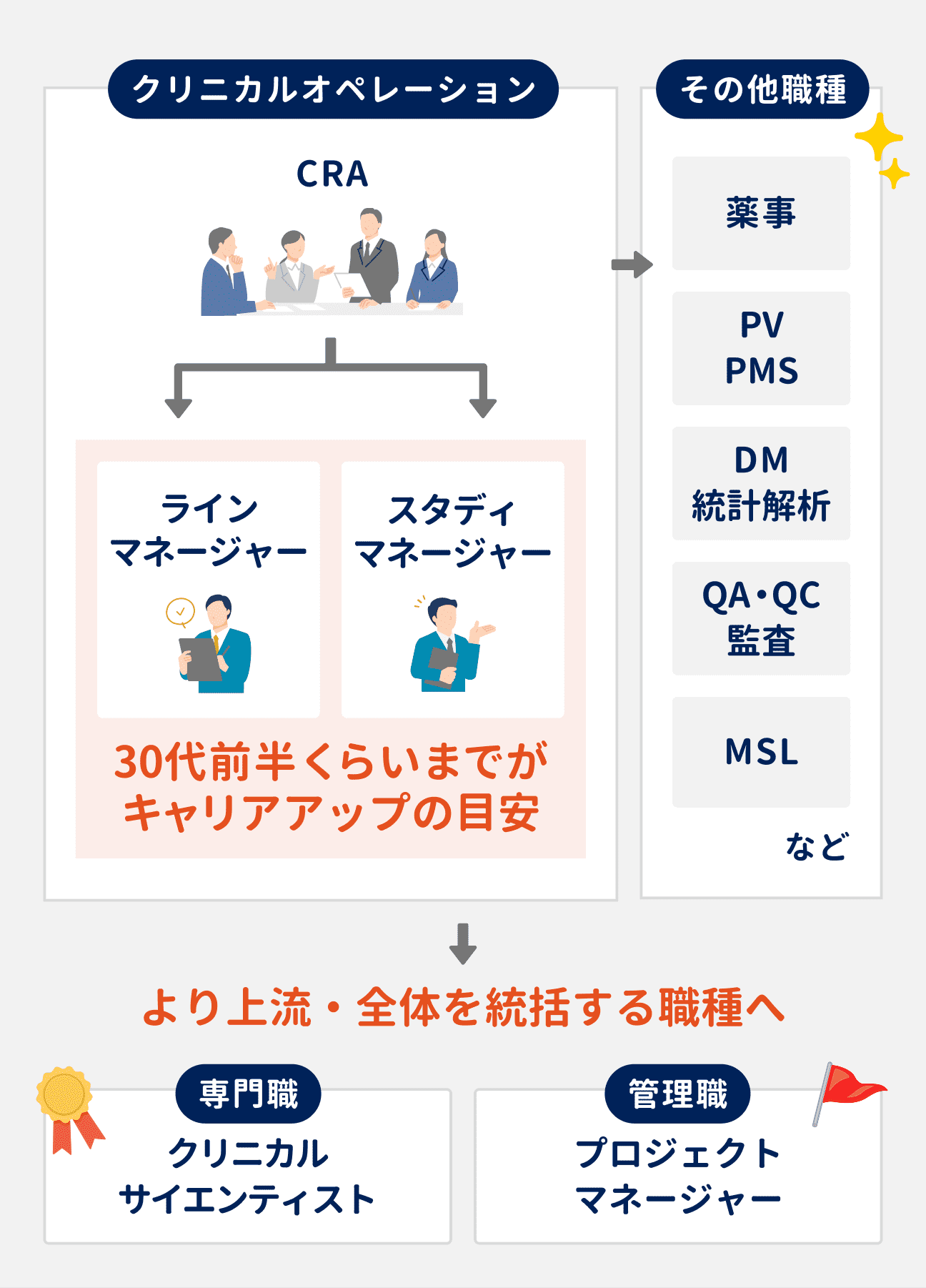 メーカーにおけるCRAのキャリアパスは、まずCRAの経験を積んだのち、30代前半までを目安としてラインマネージャーまたはスタディマネージャーへとキャリアアップするのが一般的。その後、「専門職（クリニカルサイエンティスト）」や、「管理職（プロジェクトマネージャー）」など、より上流・全体を統括する職種へ移っていく。なお、その他の職種に移る選択肢もある（薬事、PV・PMS、DM・統計解析、QA・QC・監査、MSLなど）。