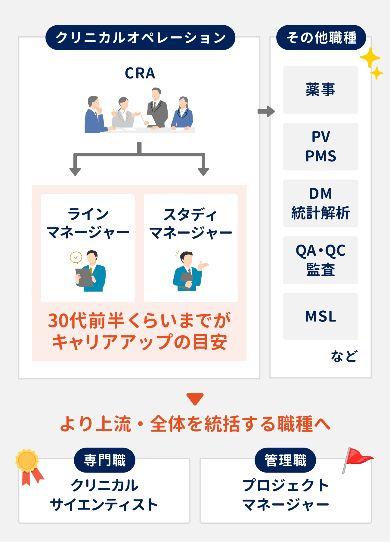 メーカーにおけるCRAのキャリアパスは、まずCRAの経験を積んだのち、30代前半までを目安としてラインマネージャーまたはスタディマネージャーへとキャリアアップするのが一般的。その後、「専門職(クリニカルサイエンティスト)」や、「管理職(プロジェクトマネージャー)」など、より上流・全体を統括する職種へ移っていく。なお、その他の職種に移る選択肢もある(薬事、PV・PMS、DM・統計解析、QA・QC・監査、MSLなど)。
