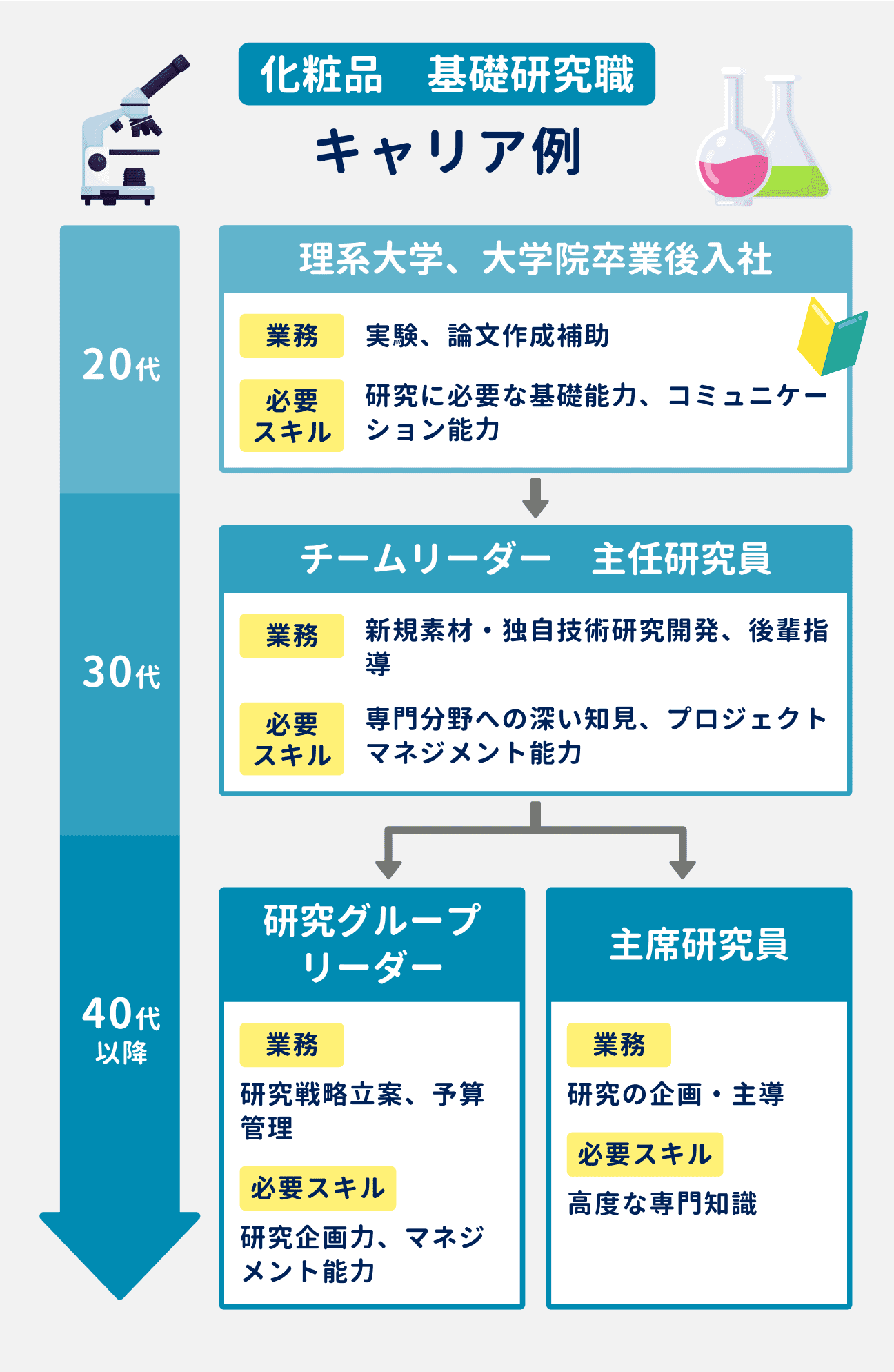 基礎研究職のキャリア例｜20代：理系大学、大学院卒業後に入社。実験、論文作成補助を担当。必要スキルは、研究に必要な基礎能力・コミュニケーション能力｜30代：チームリーダーや主任研究員として、新規素材・独自技術の研究開発や、後輩指導を担当。必要スキルは、専門分野への深い知見・プロジェクトマネジメント能力｜40代以降はキャリアパスが「研究グループリーダー」と「首席研究員」に分岐する。研究グループリーダーは、研究戦略立案や予算管理を担当。必要スキルは、研究開発力やマネジメント能力。主席研究員は研究の企画・主導を担当。必要スキルは、高度な専門知識。