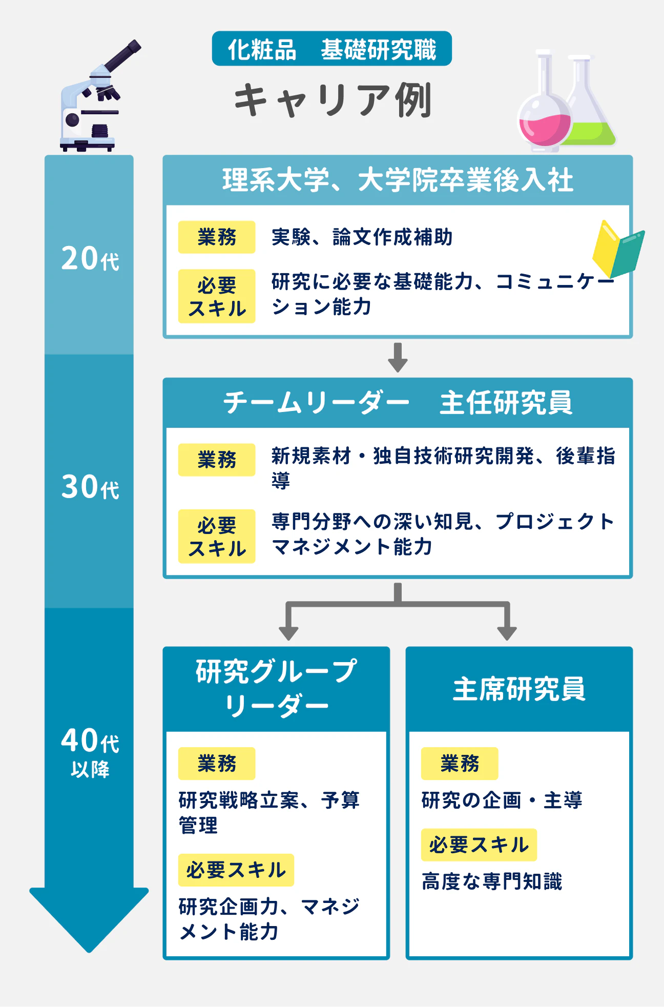 基礎研究職のキャリア例|20代:理系大学、大学院卒業後に入社。実験、論文作成補助を担当。必要スキルは、研究に必要な基礎能力・コミュニケーション能力|30代:チームリーダーや主任研究員として、新規素材・独自技術の研究開発や、後輩指導を担当。必要スキルは、専門分野への深い知見・プロジェクトマネジメント能力|40代以降はキャリアパスが「研究グループリーダー」と「首席研究員」に分岐する。研究グループリーダーは、研究戦略立案や予算管理を担当。必要スキルは、研究開発力やマネジメント能力。主席研究員は研究の企画・主導を担当。必要スキルは、高度な専門知識。