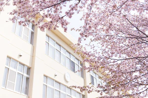 school_sakura
