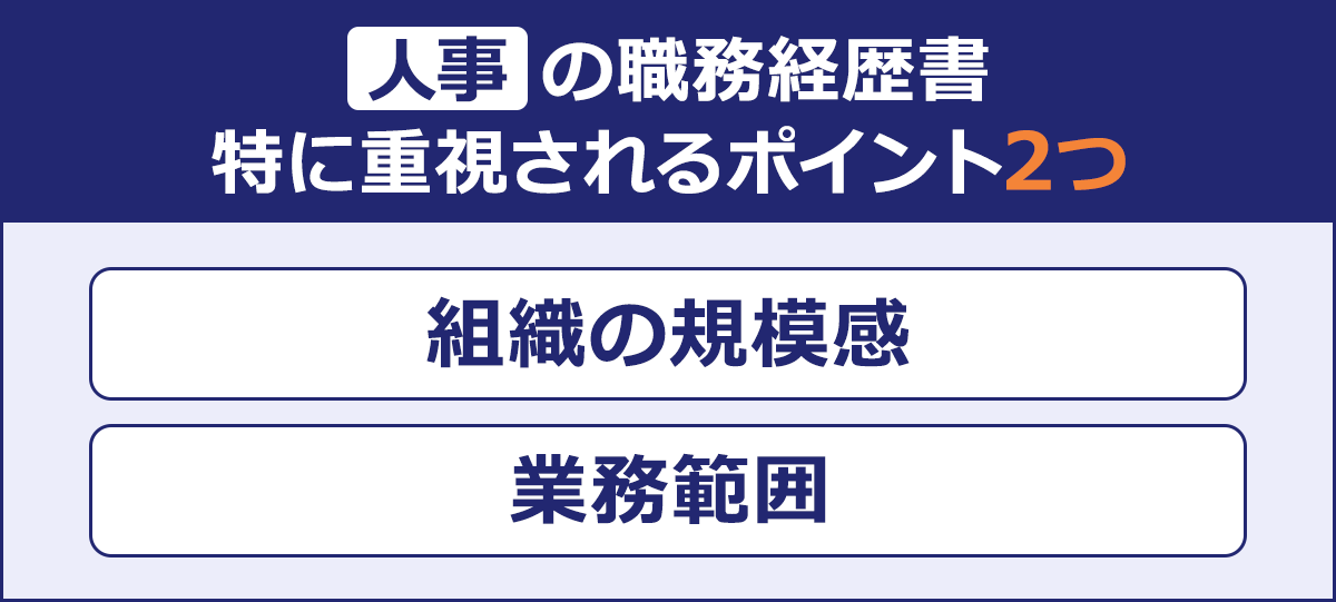 ～人事の職務経歴書 特に重視されるポイント2つ～組織の規模感|業務範囲