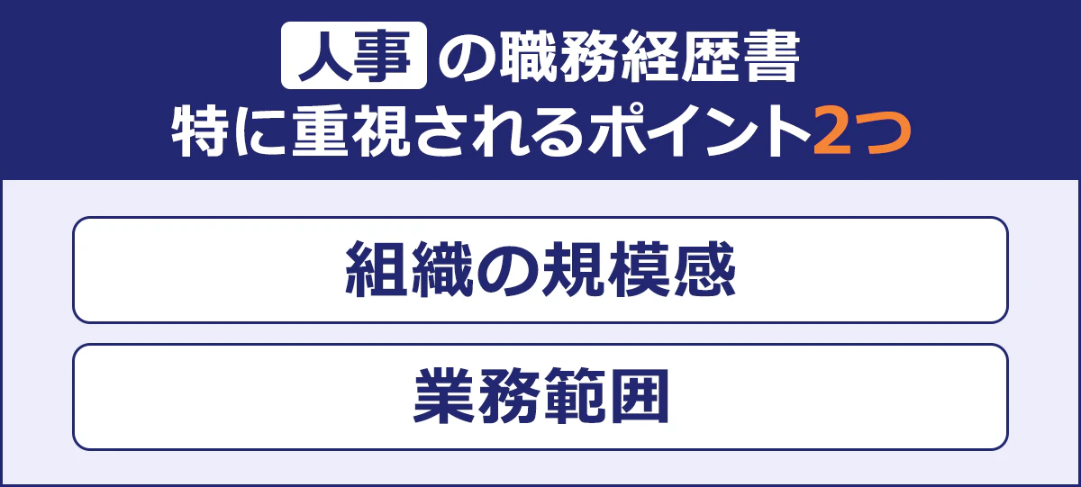 ～人事の職務経歴書 特に重視されるポイント2つ～組織の規模感|業務範囲