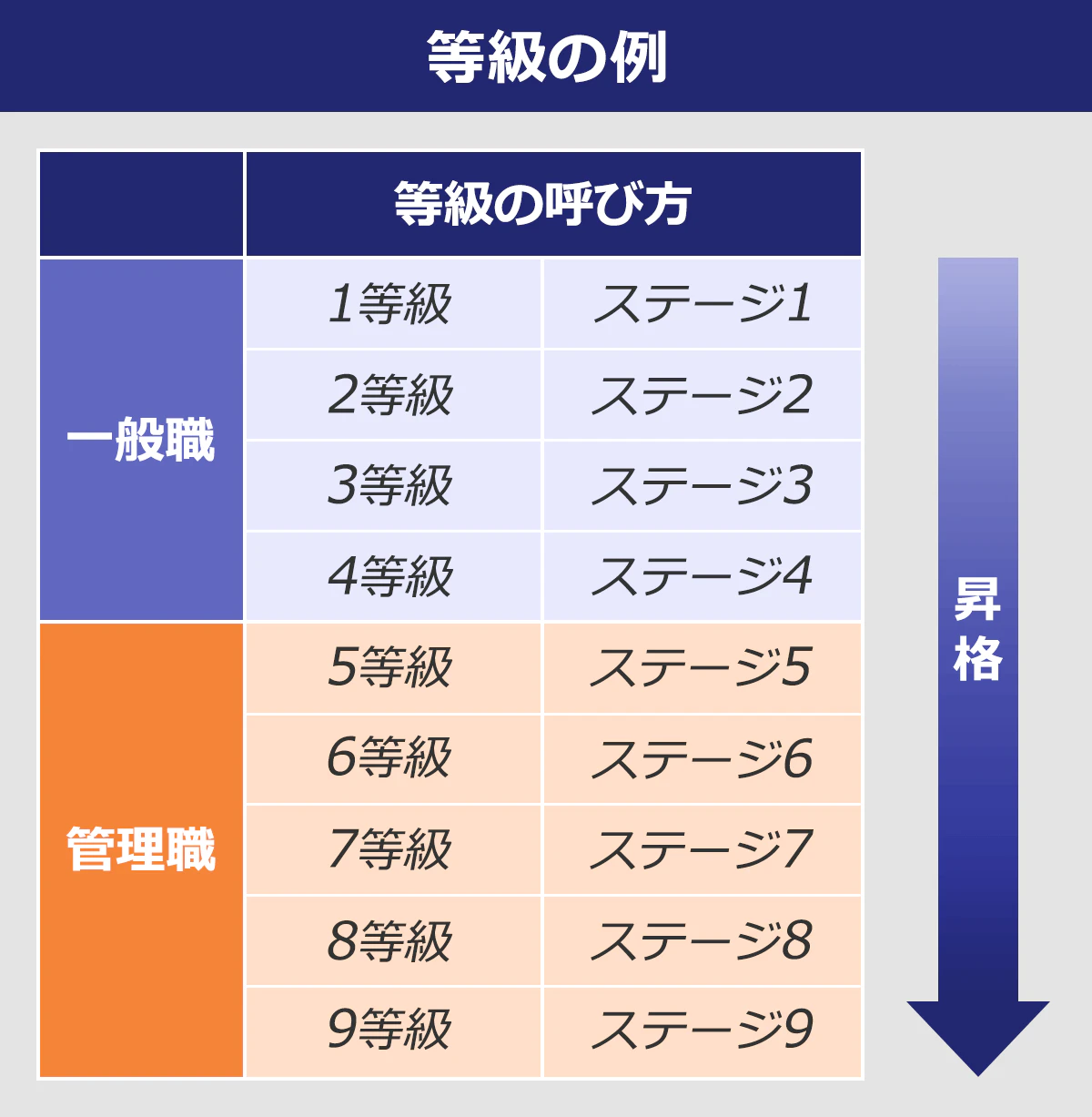 等級の呼び方は「1等級、2等級」「ステージ1、ステージ2」など様々。数字が大きくなったことを昇格と呼ぶのが一般的です。また、一定の等級を区切りにして、一般職と管理職を分けている場合もあります。