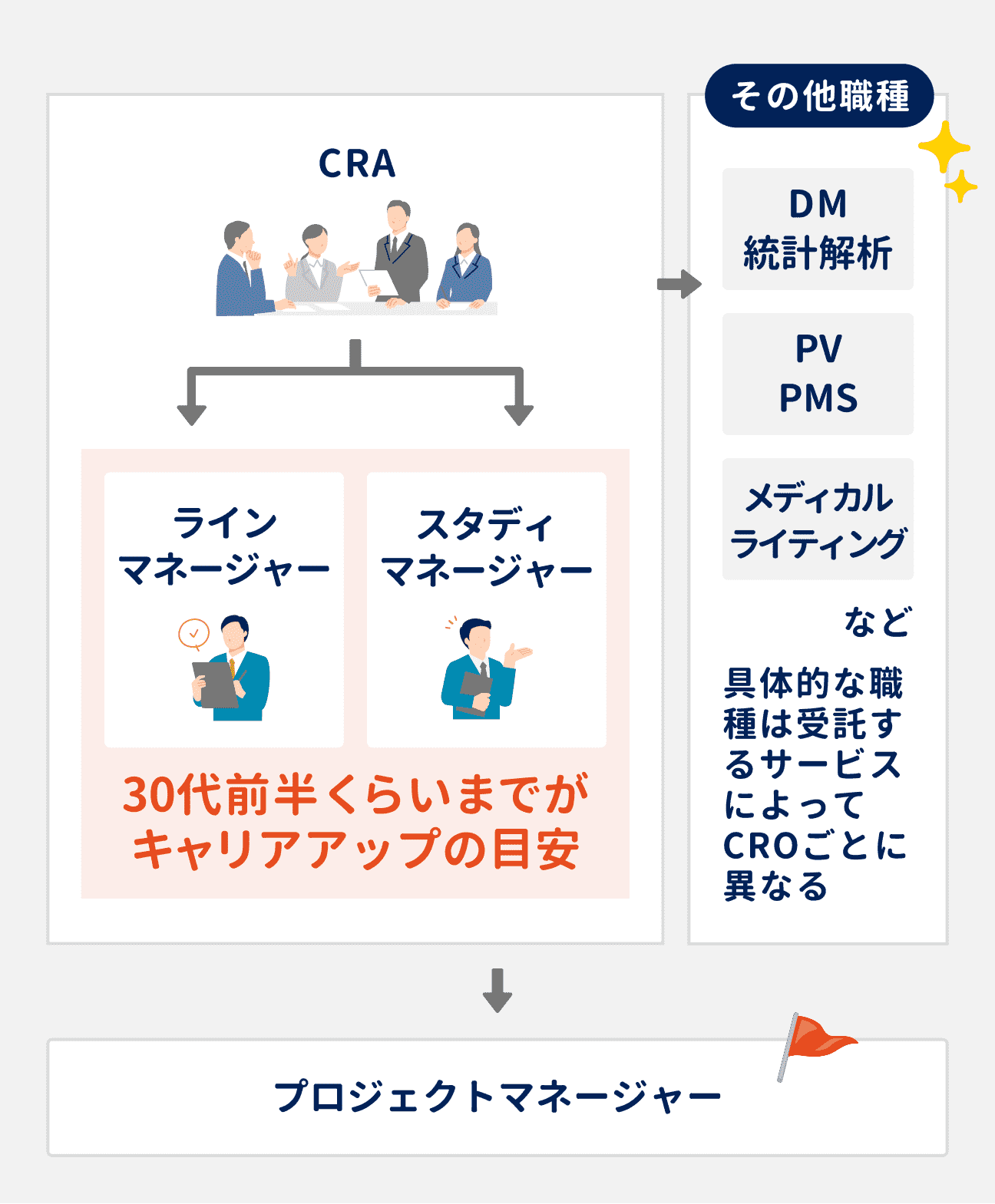 CROにおけるCRAのキャリアパスは、まずCRAの経験を積んだのち、30代前半までを目安としてラインマネージャーまたはスタディマネージャーへとキャリアアップするのが一般的。その後、プロジェクトマネージャーへとキャリアアップする。その他の職種に移る選択肢もあるが、具体的な職種は勤務先が受託するサービスによって異なってくる（例：DM・統計解析、PV・PMS、メディカルライティングなど）。