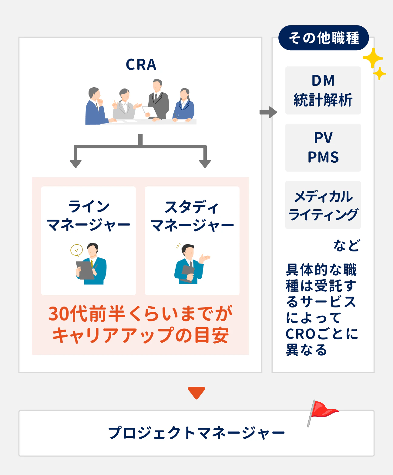 CROにおけるCRAのキャリアパスは、まずCRAの経験を積んだのち、30代前半までを目安としてラインマネージャーまたはスタディマネージャーへとキャリアアップするのが一般的。その後、プロジェクトマネージャーへとキャリアアップする。その他の職種に移る選択肢もあるが、具体的な職種は勤務先が受託するサービスによって異なってくる(例:DM・統計解析、PV・PMS、メディカルライティングなど)。