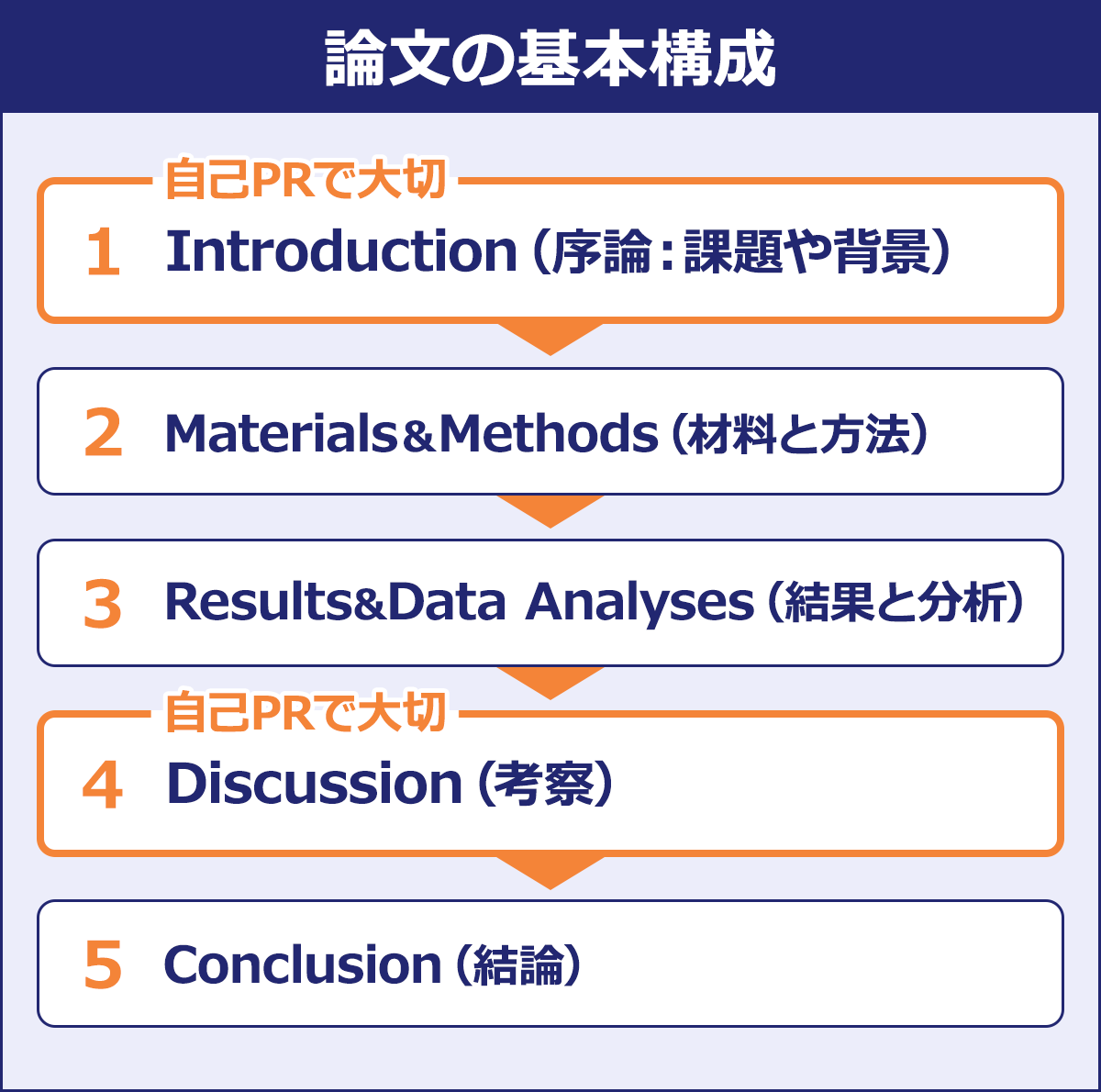 【論文の基本構成】１．Introduction（序論：課題や背景）※自己PRで大切｜２．Materials&Methods（材料と方法）｜３．Results&Data Analyses（結果と分析）｜４．Discussion（考察）※自己PRで大切｜５．Conclusion（結論）