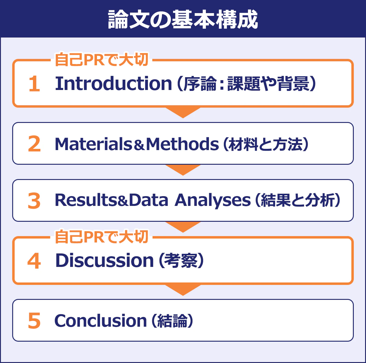 【論文の基本構成】1.Introduction(序論:課題や背景)※自己PRで大切|2.Materials&Methods(材料と方法)|3.Results&Data Analyses(結果と分析)|4.Discussion(考察)※自己PRで大切|5.Conclusion(結論)