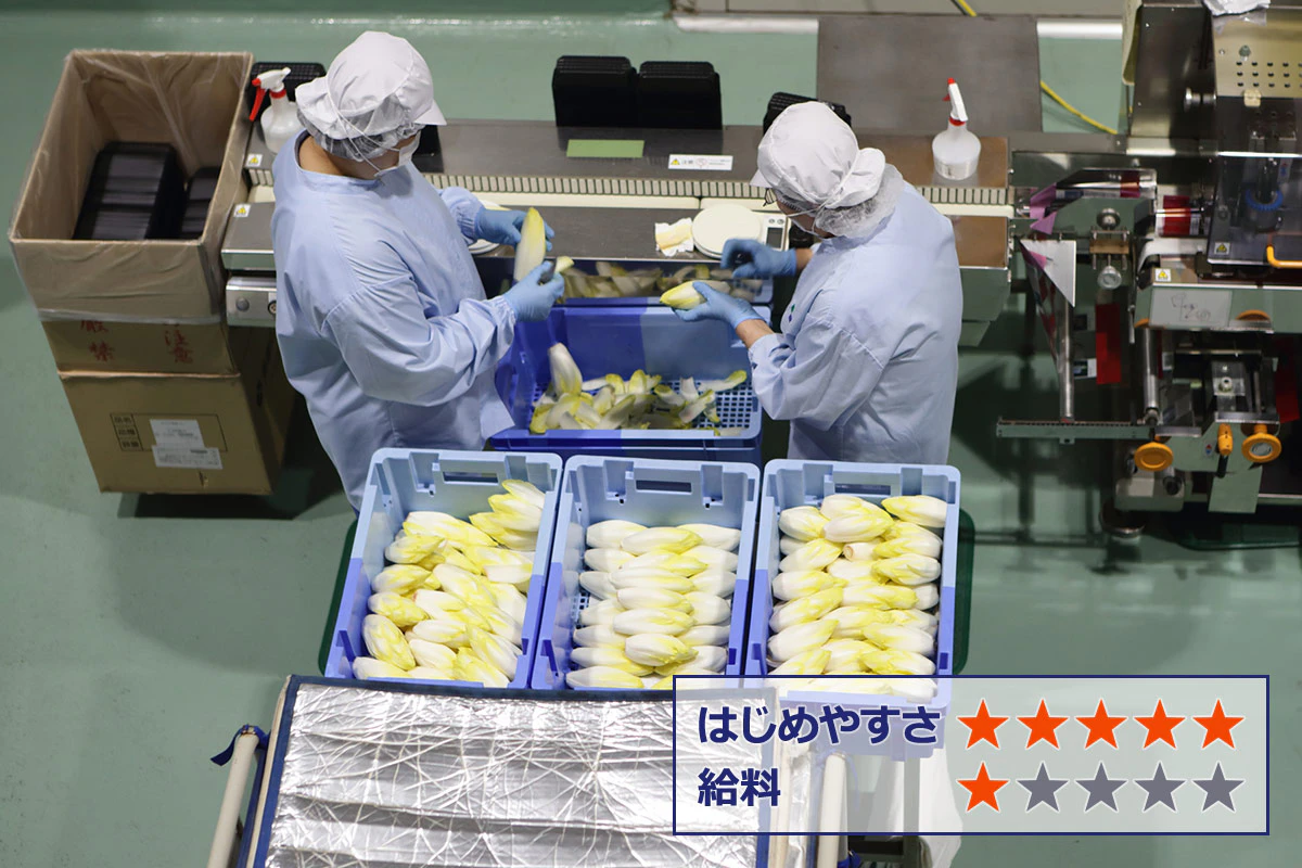 【工場勤務】 はじめやすさ：★★★★★ 給料：★