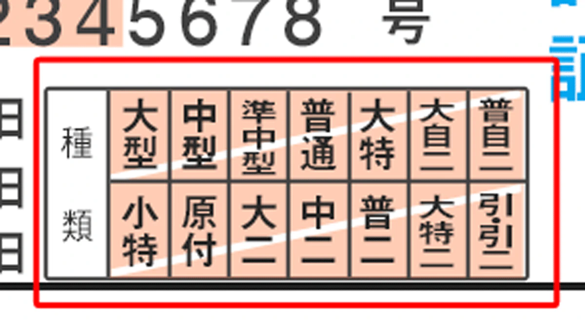 免許証の取得日の横の種類欄の見本