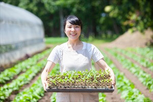 自然に関わる仕事まとめ