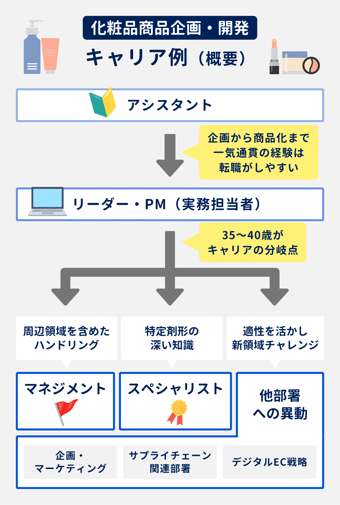 化粧品企画・開発のキャリア例｜アシスタント→リーダー・PM（実務担当者）を経験し、35歳～40歳で3つのキャリアへの分岐が発生｜（1）周辺領域を含めたハンドリングを担う「マネジメント」、（2）特定剤形の深い知識を極める「スペシャリスト」、（3）適性を活かし、他部署へ異動（企画・マーケティング、サプライチェーン関連部署、デジタルEC戦略）