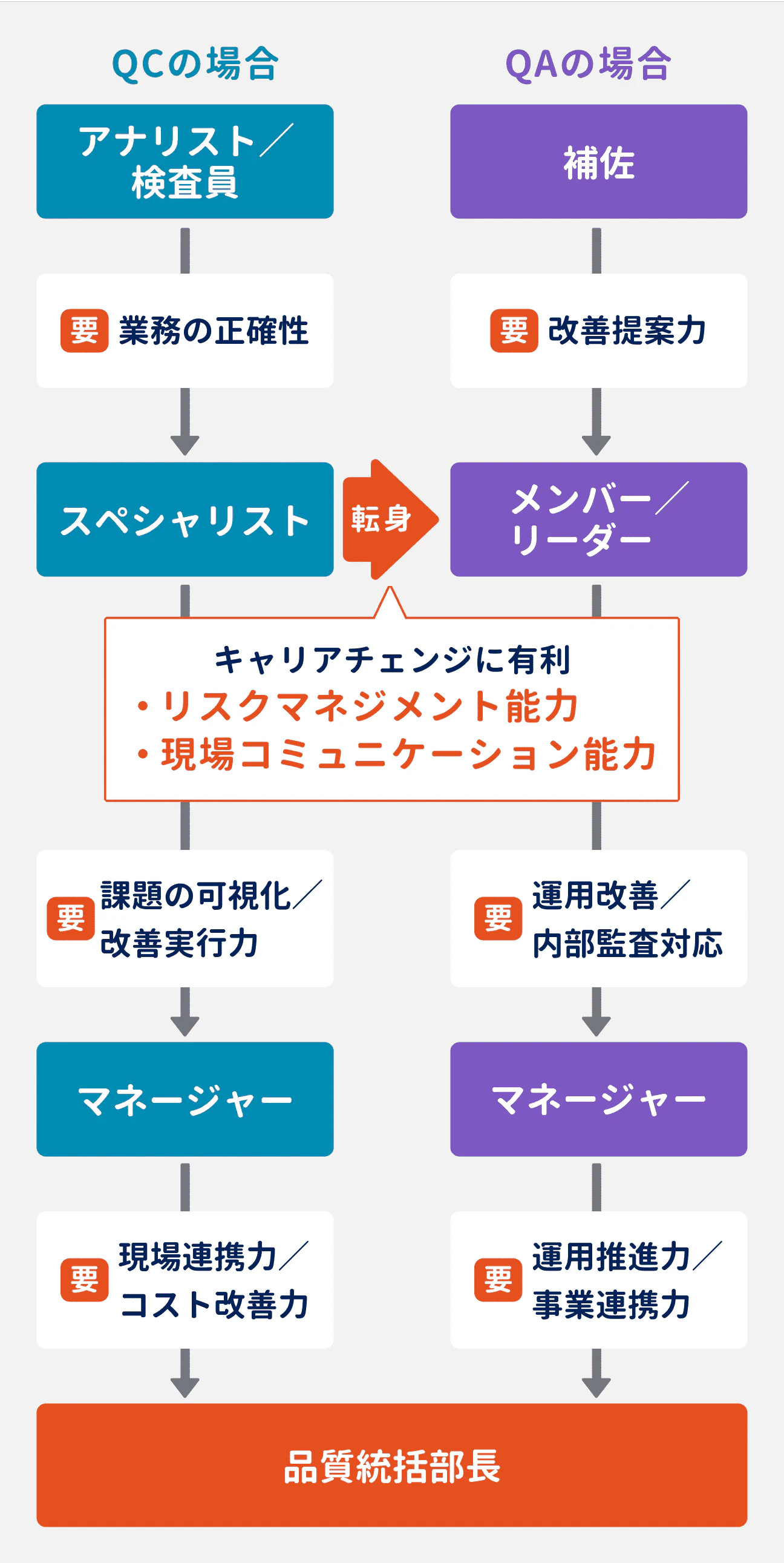 QC・QAのキャリアパス｜QCの場合…アナリスト／検査員→スペシャリスト→マネージャー→品質統括部長｜QAの場合…補佐→メンバー／リーダー→マネージャー→品質統括部長｜QCのスペシャリストになったのち、QAのメンバー／リーダーに転身することも可能。その際は、リスクマネジメント能力や現場コミュニケーション能力があると有利に。